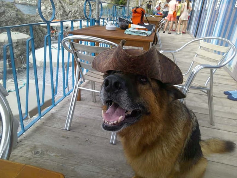 Amalfi Coast Kayak & Snorkeling Tour, Waterfall, Bay & Beach - Why This Tour Stands Out