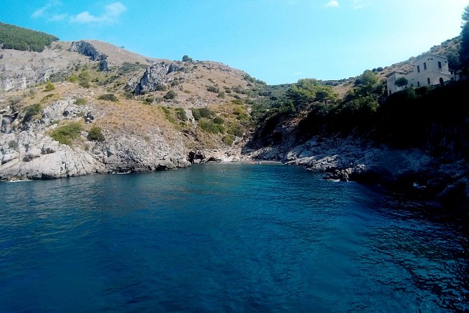 Amalfi Coast Kayak Tours from Marina del Cantone - Marine Life and Underwater Highlights