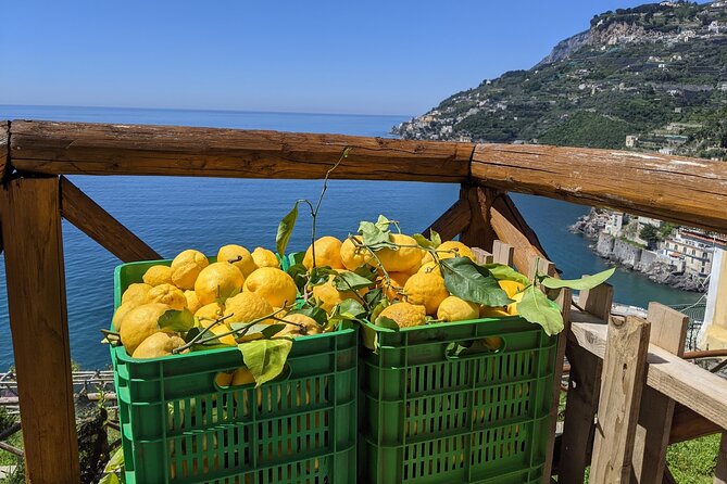 Amalfi Coast - Maiori: Path of Lemons Tour with Tasting - The Sentiero dei Limoni: A Scenic Connection between Maiori and Minori