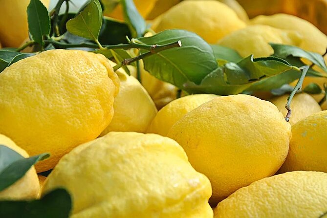 Amalfi Coast - Maiori: Path of Lemons Tour with Tasting - Meet Enzo: Passionate and Knowledgeable Guides