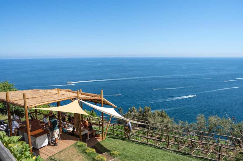 Amalfi Coast: Pizza & Mozzarella Class with Farmhouse visit - Baking in the Wood-Fired Oven