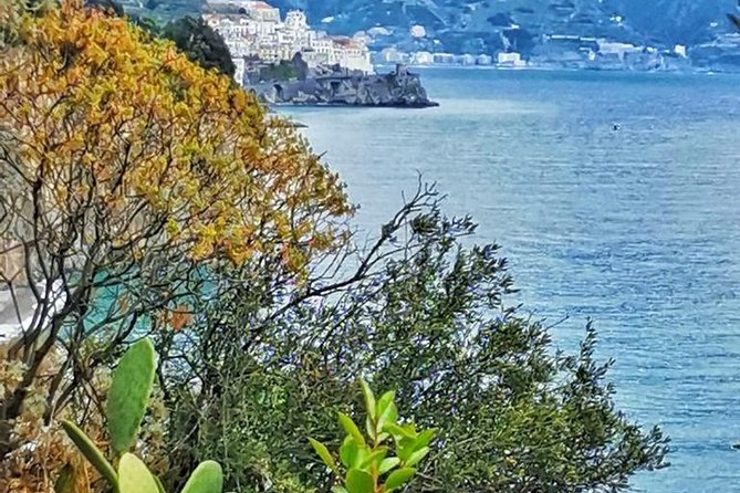 Amalfi Coast Private Tour from Sorrento: Exclusive Mercedes Van - Free Time for Lunch and Shopping in Positano, Amalfi, and Ravello