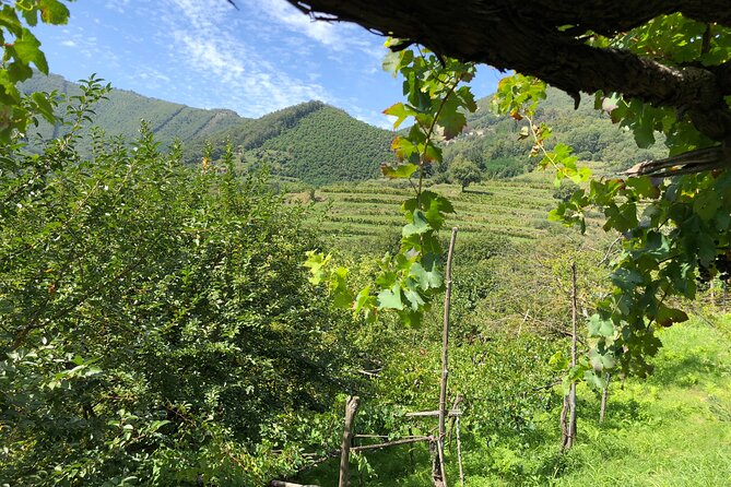 Amalfi coast private tour with Amalfi Ravello and Wine Tour from Positano - Starting Your Day with Hotel Pickup in Positano