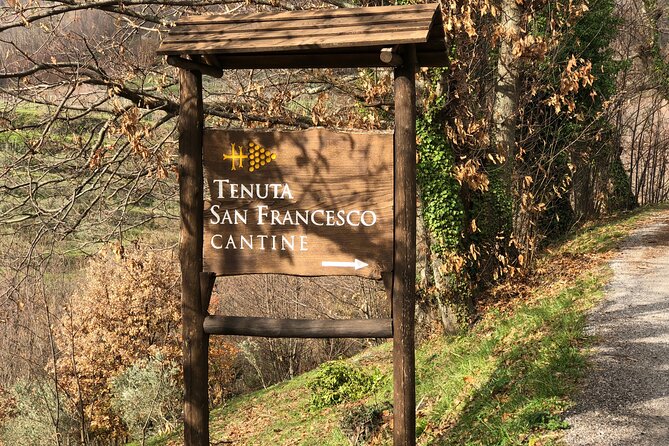 Amalfi coast private tour with Amalfi Ravello and Wine Tour from Positano - Comfort and Convenience With All-Inclusive Transport