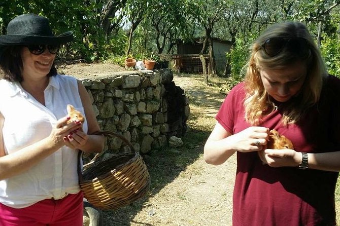 Amalfi Coast & Sorrento Cooking Class School at Farmhouse - The Intimate and Educational Atmosphere