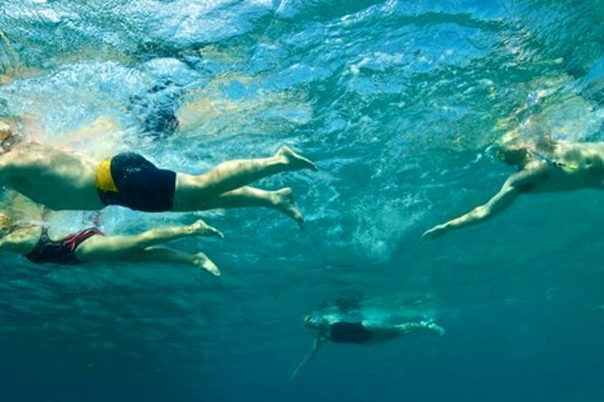 Amalfi Coast Swim Experience with Lifeguard - Eco-Friendly Focus and Green Practices