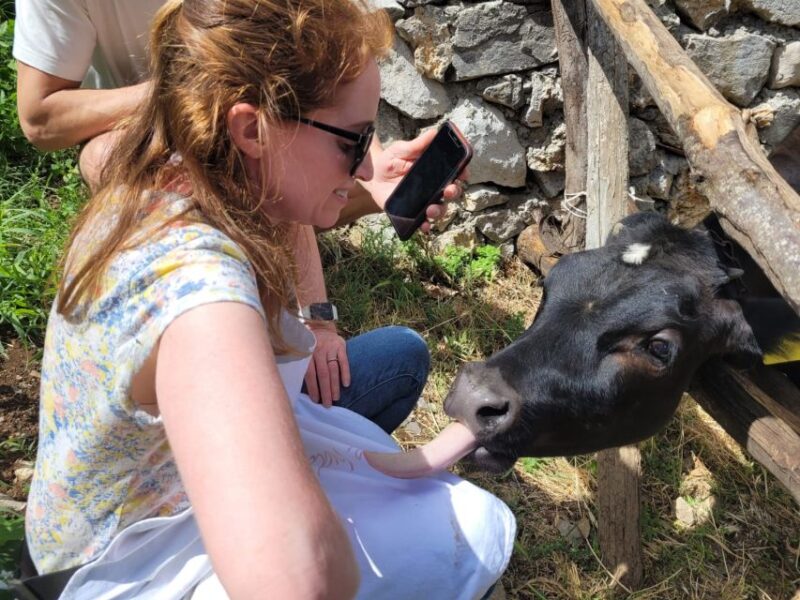 Amalfi: Make tagliatelle, mozzarella and tiramisù - Meeting Valentino and His Family