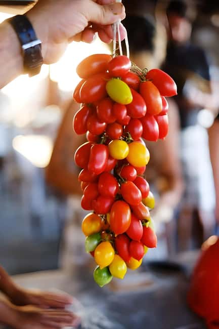 Amalfi: Milk the cows, Make Pasta, Mozzarella and Tiramisù! - Tasting the Fruits of Your Labor with Local Wine