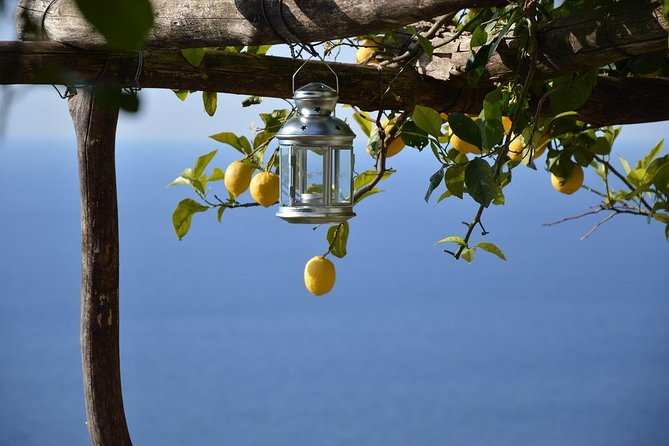 Amalfi Ravello Positano Tour - Discover the Amalfi Ravello Positano Tour for a Personalized Day on Italy’s Famous Coastline