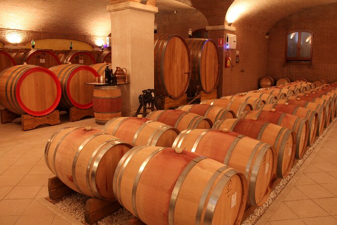 Amarone 2005 Wine Experience - The Cellar, Barricade, and Wine Production Process