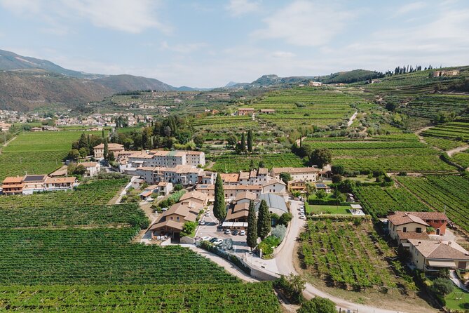 Amarone 2005 Wine Experience - The Experience of Tasting Organic and Biodynamic Wines