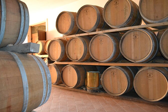 Amarone Della Valpolicella Wine Experience - Meet the Vogadori Family - Key Points