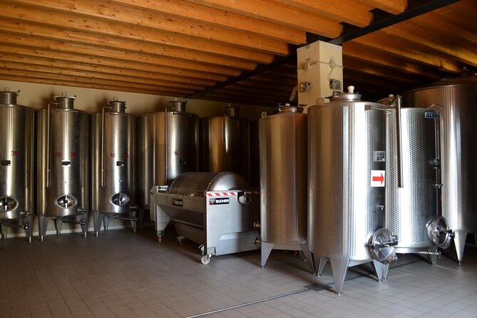 Amarone Della Valpolicella Wine Experience - Meet the Vogadori Family - What You Learn About Grape Cultivation and Production