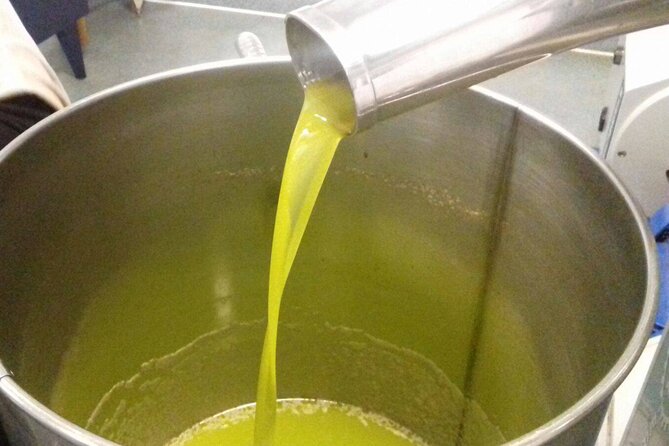 Amarone Della Valpolicella Wine Experience - Meet the Vogadori Family - The Familys Passion for Organic Wine Production