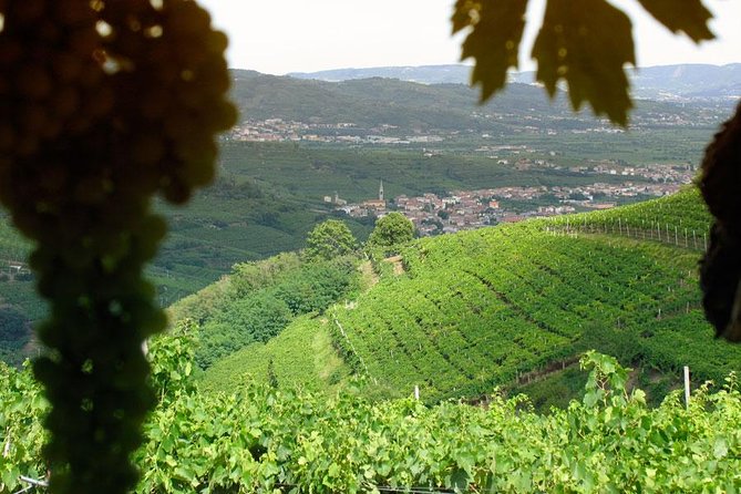 Amarone-Soave wine tour. Visit Verona. From Venice - Discover the Charm of Verona, Valpolicella, and Soave on a Private Wine Day Trip