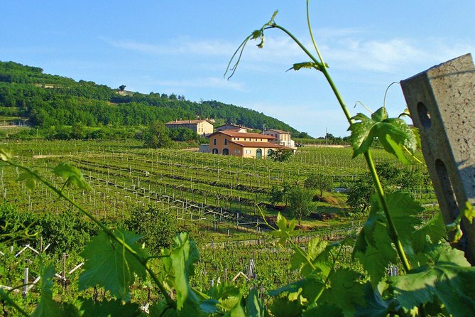 Amarone-Soave wine tour. Visit Verona. From Venice - Logistics: Meeting Points and Travel Details