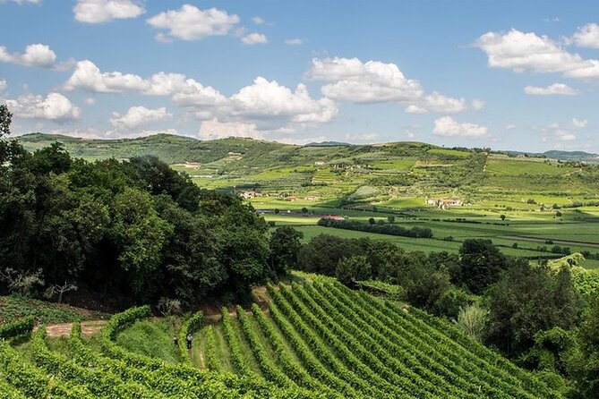 Amarone-Valpolicella private tour. Visit Verona. From Venice - Starting Point: Convenient Meeting at Piazzale Roma