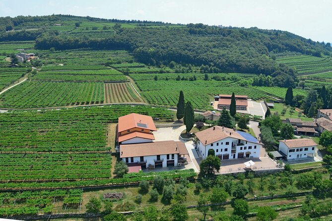 Amarone-Valpolicella private tour. Visit Verona. From Venice - Flexibility and Booking Details