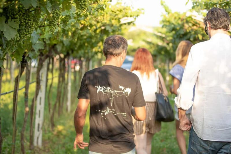 AMARONE: VERTICAL TASTING OF HISTORIC VINTAGES - The Sweet Finale: Recioto della Valpolicella