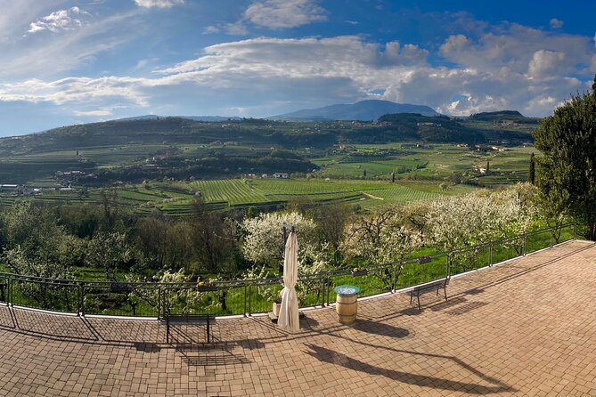 Amarone Wine Tasting from Verona - Key Points