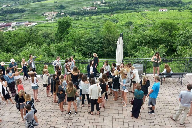 Amarone Wine Tasting from Verona - Guided Tasting of Four Wines and Local Cold Cuts