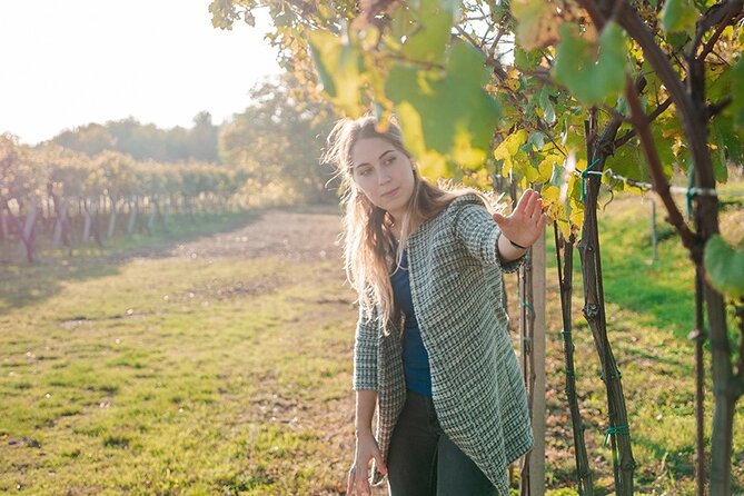 Amarone Wine Tour - Explore the Authentic Amarone Wine Experience in Verona