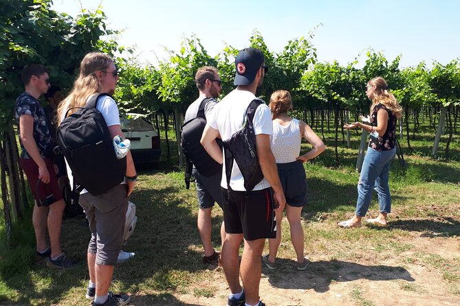 Amarone Wine Tour - Convenient Location and Accessibility