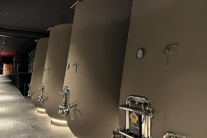 Amarone Wine Tour with 2 Wineries Lunch and Private Transfer - Explore the Heart of Valpolicella with a Premium Amarone Wine Tour