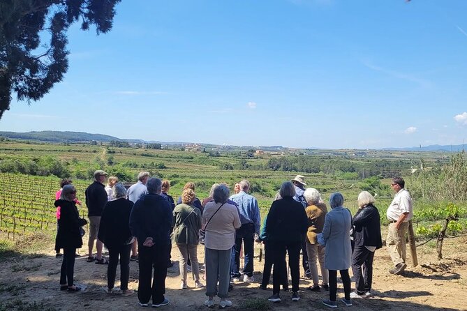 Amarone Wine Tour with 2 Wineries Lunch and Private Transfer - Key Points