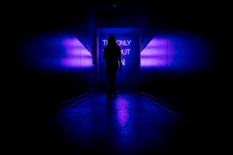 AMAZE Amsterdam: Immersive Audiovisual Experience - Who Will Enjoy AMAZE Amsterdam?