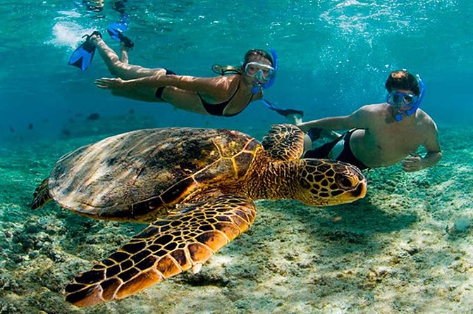 Amazing Adventure in Akumal. Swim with turtles and discover Tulum Ruins. - Key Points