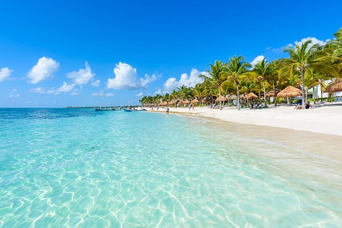 Amazing Adventure in Akumal. Swim with turtles and discover Tulum Ruins. - Cost, Inclusions, and What’s Not Included