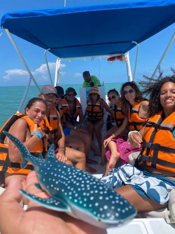 Amazing Adventure, Search and Swim with Whale Sharks on Holbox Island - Meeting Point and Tour Logistics on Holbox Island