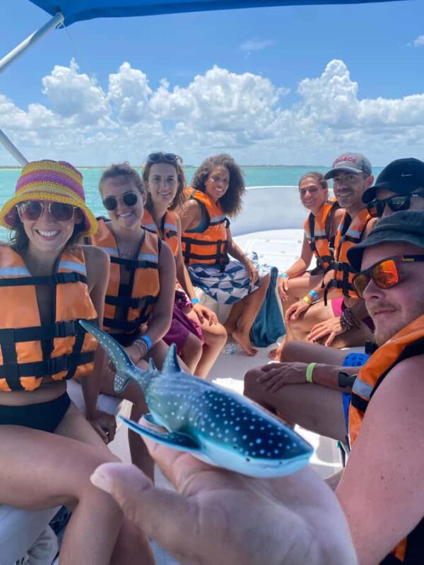 Amazing Adventure, Search and Swim with Whale Sharks on Holbox Island - Swimming with the Whale Sharks: What to Expect