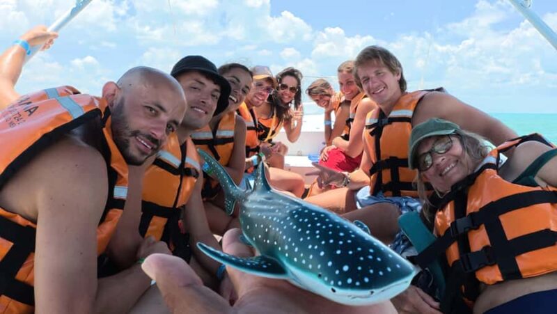 Amazing Adventure, Search and Swim with Whale Sharks on Holbox Island - Return Journey and Final Tips