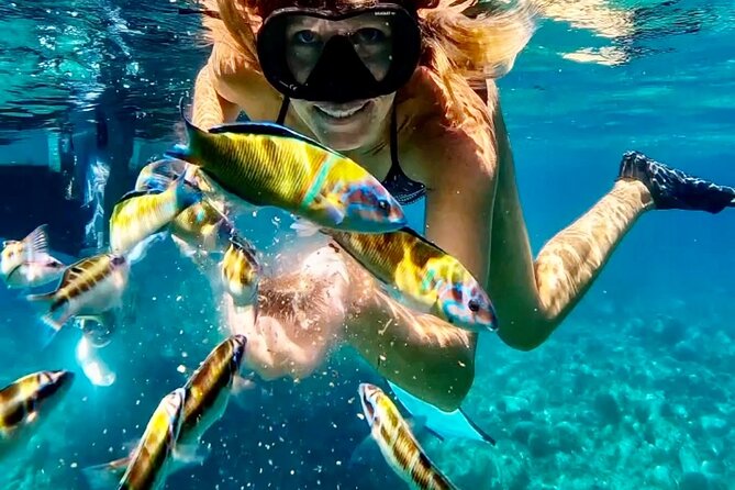 Amazing boat trip from Tropea to Capo Vaticano - 6 to 12 people - Experience the Best of Tropea and Capo Vaticano on a 3.5-Hour Boat Tour