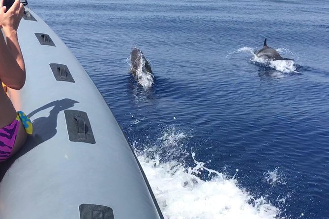 Amazing boat trip from Tropea to Capo Vaticano - 6 to 12 people - Who Will Enjoy This Tour?