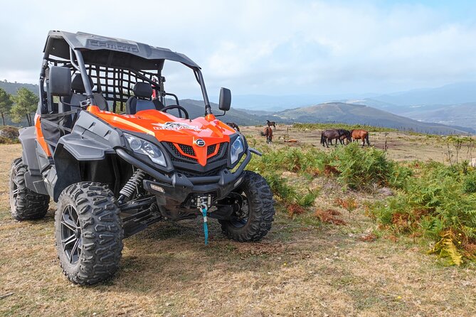 Amazing Buggy Ride in Corno do Bico - Exciting Buggy Adventure in Corno do Bico for $71.84
