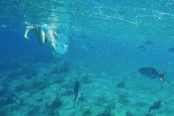 Amazing Catamaran Only Adults with Open Bar to Isla Mujeres! - Sunset Sailing and Final Moments on the Return Trip