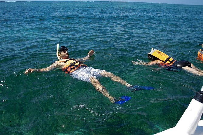 Amazing Catamaran Party + Beach Club - Only Adults from Cancún - Snorkel Equipment and Safety for All Participants