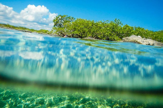 Amazing Cenote Yalku, swim in sacred waters. Transport & Guide - Exploring the Jungle and Swimming in a Cenote