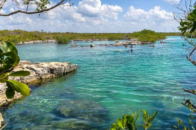 Amazing Cenote Yalku, swim in sacred waters. Transport & Guide - Not Included: Snacks and Tips