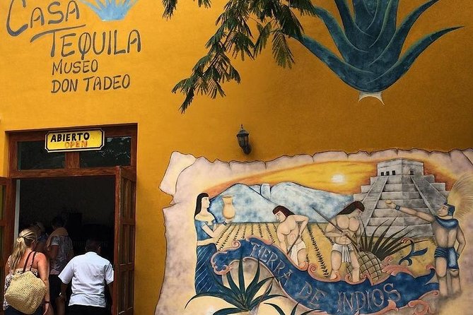 Amazing Chichen Itza Lights Show, includes Valladolid, buffet and cenote tour. - Key Points