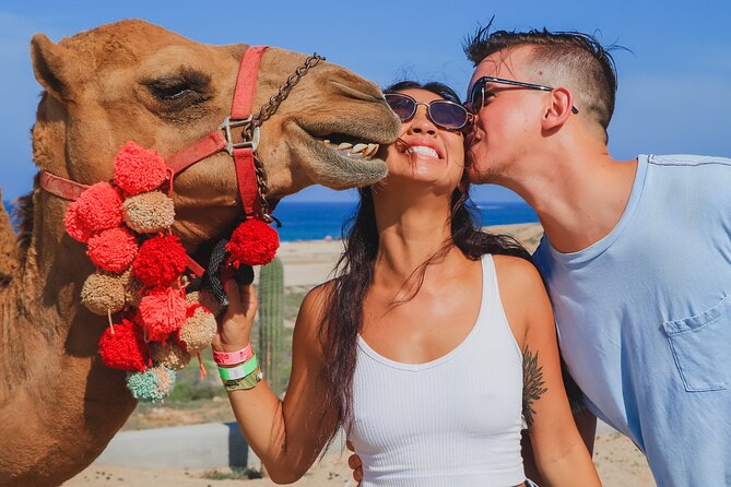 Amazing Combo Adventure in Los Cabos México - Physical Requirements and Age Restrictions