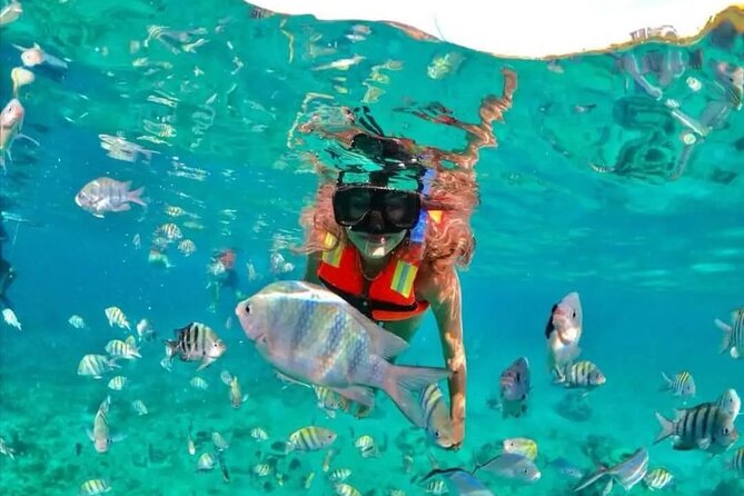 Amazing Cozumel Buggy Adventure Around the Island - Traditional Demonstration and Tequila Tasting