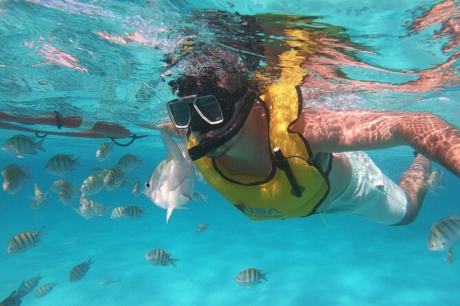 Amazing Cozumel Buggy Adventure Around the Island - Cocoa Workshop and Mayan Cultural Experiences