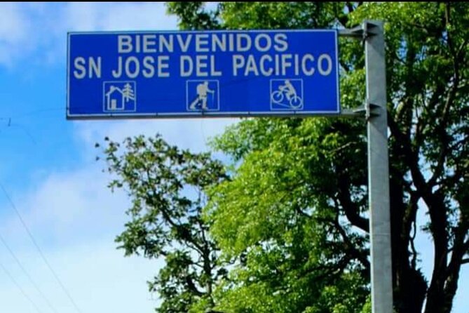 Amazing experience in the mountain of San Jose del Pacifico - Key Points