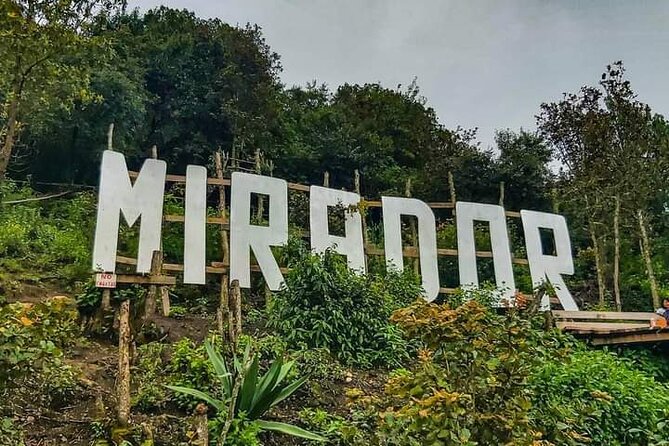 Amazing experience in the mountain of San Jose del Pacifico - The 2-Hour Nature Walk Among Trees and Vegetation