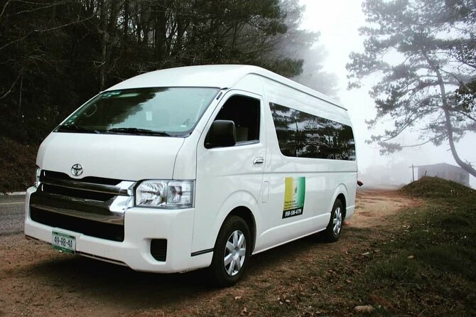 Amazing experience in the mountain of San Jose del Pacifico - Additional Information and Practical Tips