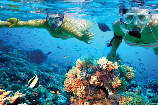 Amazing Isla Mujeres Tour with snorkeling, lunch and Open Bar - Sailing on a Catamaran Through the Caribbean Sea